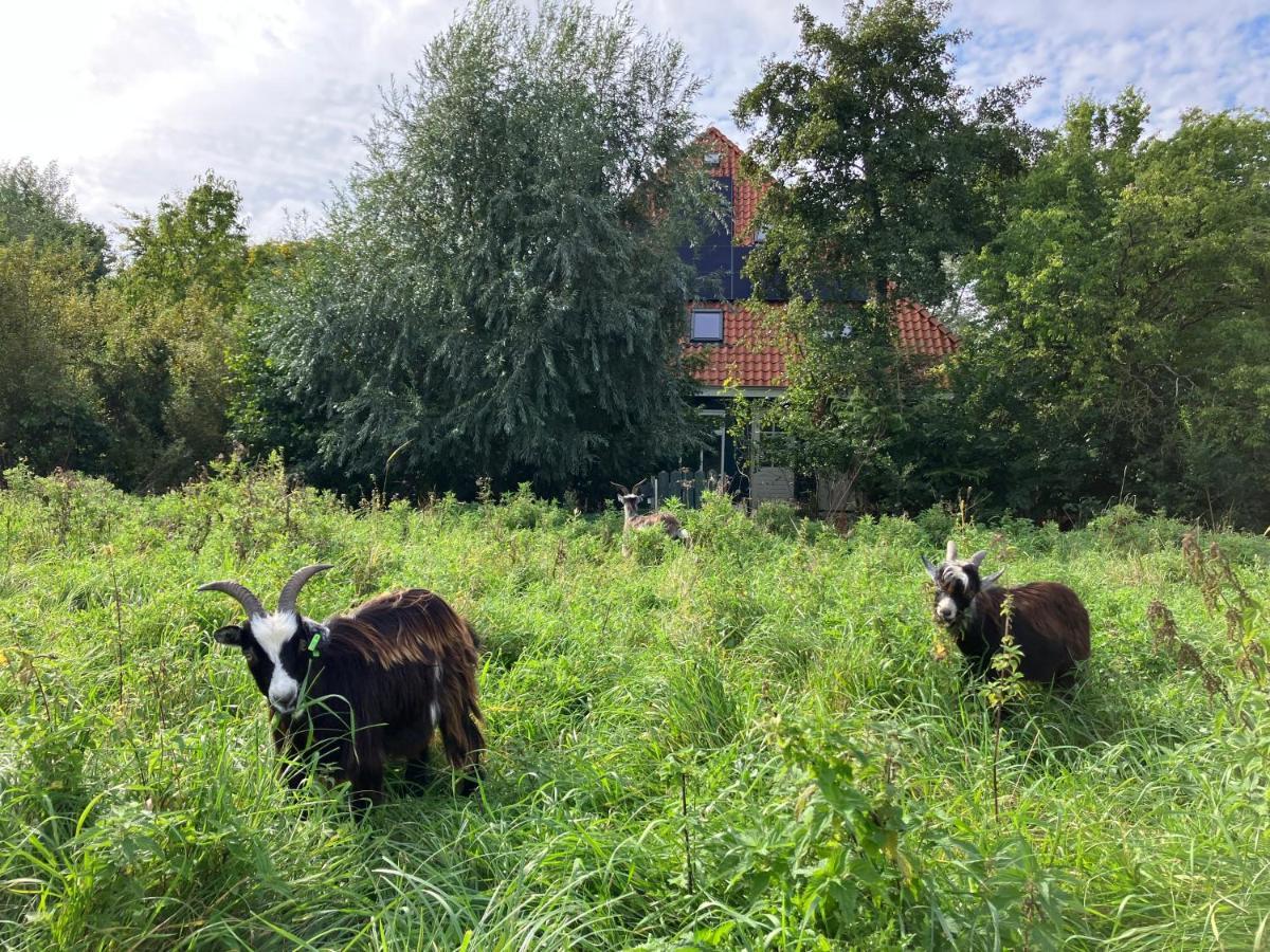 Inn Het Nest Amsterdam Eksteriør bilde